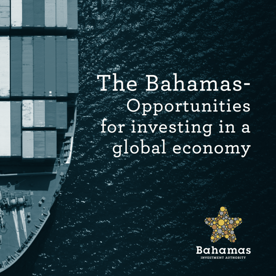 IFF Invest_Bahamas Investment Authority_BIA_Guide_Download Image
